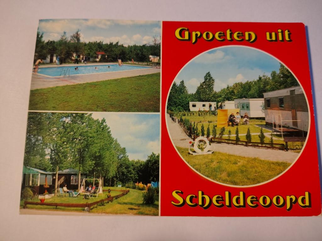 Scheldeoord, Ophalen of Verzenden, 1940 tot 1960, Gelderland