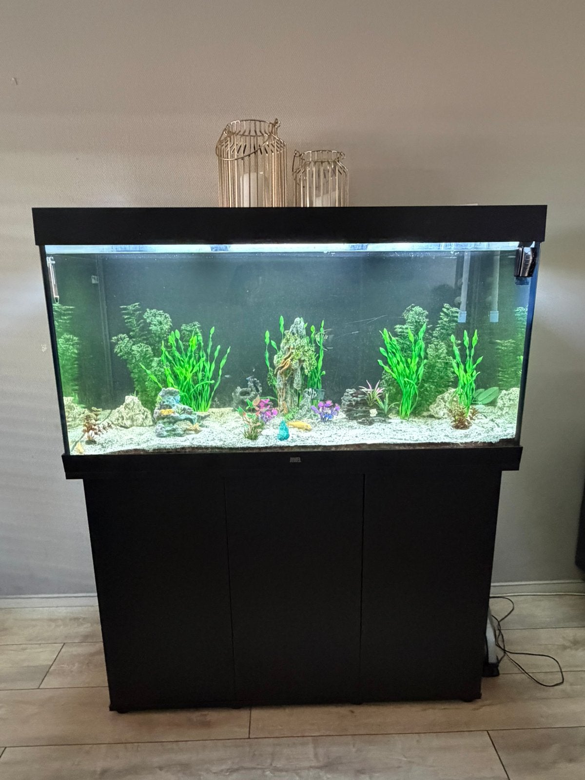 Complete Juwel Rio 350 LED, Dieren en Toebehoren, Ophalen, Zo goed als nieuw, Gevuld zoetwateraquarium, Juwel