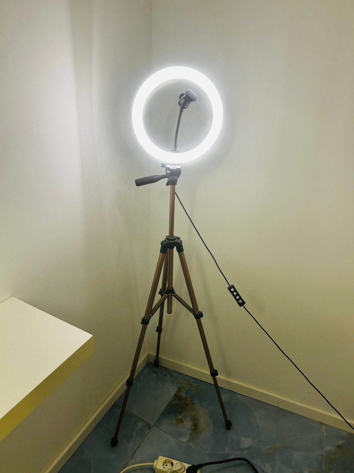 Ringlamp, Ophalen, Zo goed als nieuw, Lamp of Flitsset