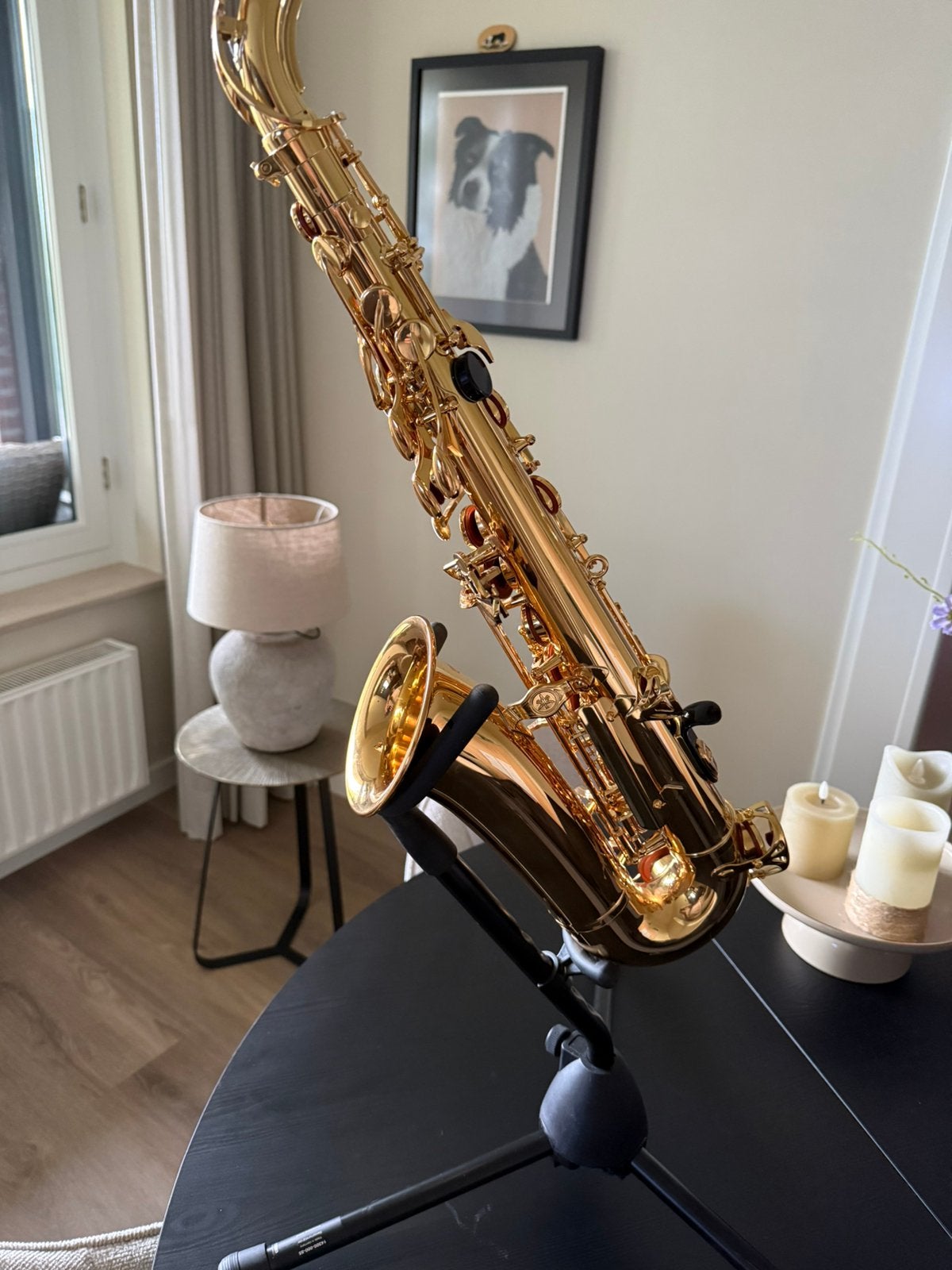 Alt saxofoon, Muziek en Instrumenten, Ophalen, Zo goed als nieuw, Alt