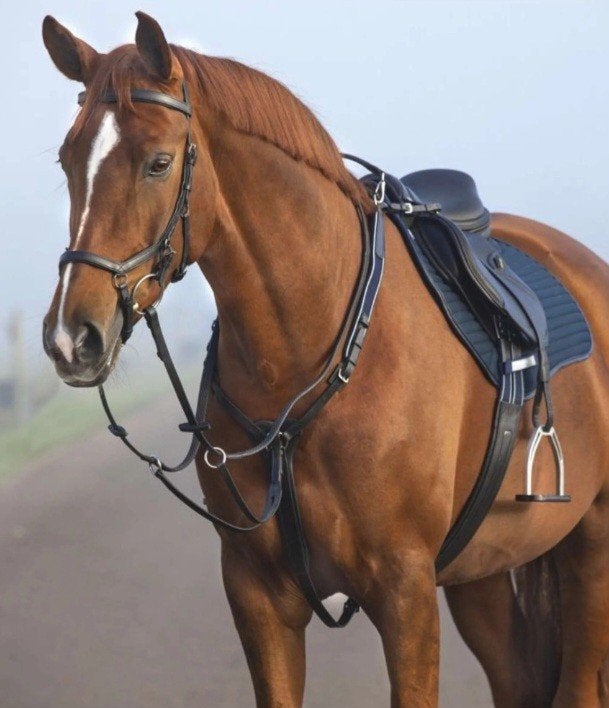 Rambo Micklem Borsttuig,martingaal - KenTaur singel, Pony, Springen, Rambo, Inclusief teugels, Ophalen of Verzenden