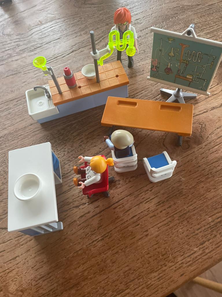 Heel veel playmobil playmobile sets dieren princes ridder, Ophalen of Verzenden, Jongen of Meisje