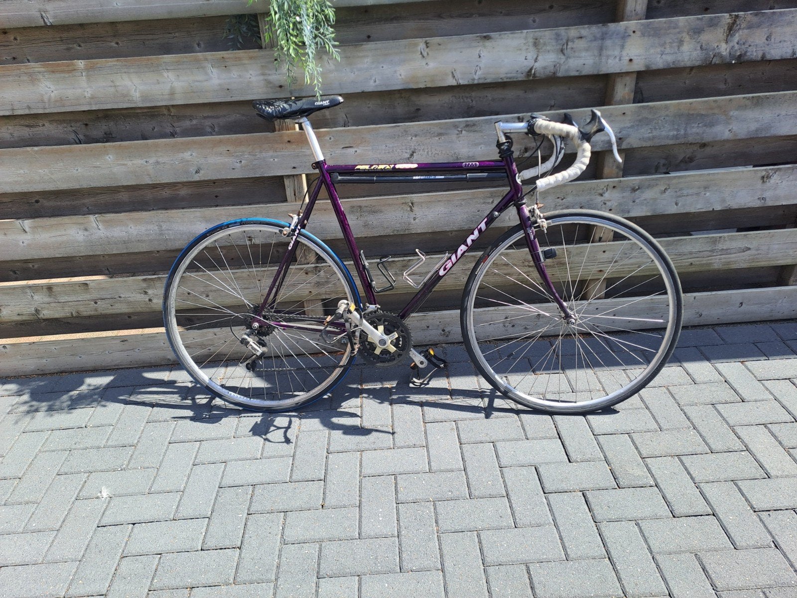 giant peloton 1000 vintage, Ophalen, Gebruikt, Staal, Giant