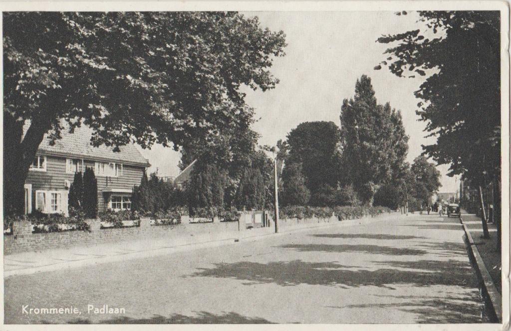 padlaan krommenie straatbeeld zaanstreek zaanse zaans zaan, Verzamelen, Ophalen of Verzenden, 1940 tot 1960, Ongelopen, Noord-Holland