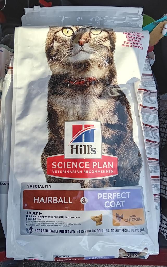 Kattebrokken, Dieren en Toebehoren, Ophalen, Kat