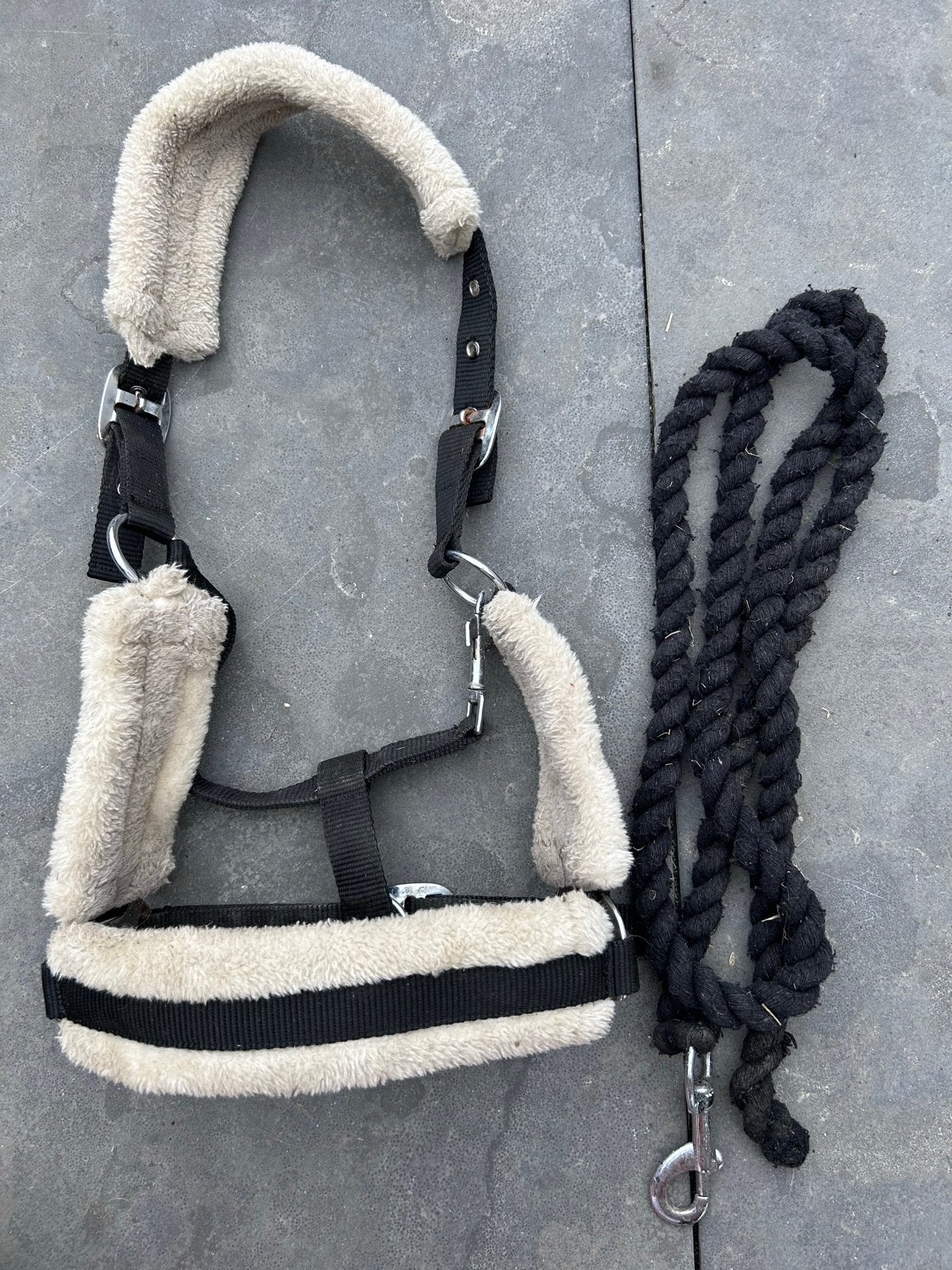 Halsterset zwart maat Cob, Ophalen of Verzenden, Zo goed als nieuw, Zwart, Cob