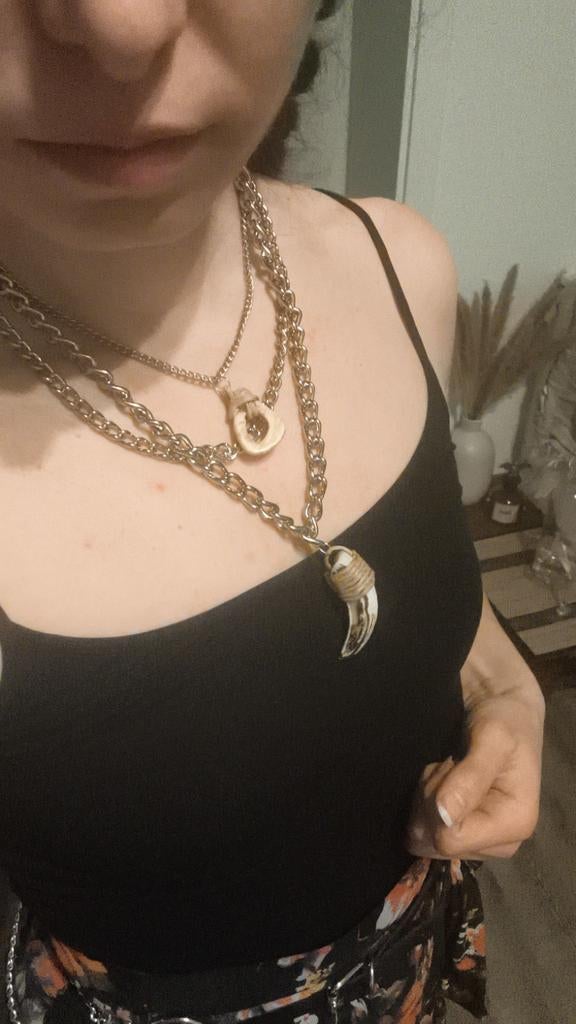 Dieren tanden en klauwen voor sieraden of decoratie, Ophalen of Verzenden, Gebruikt, Wild dier, Overige typen