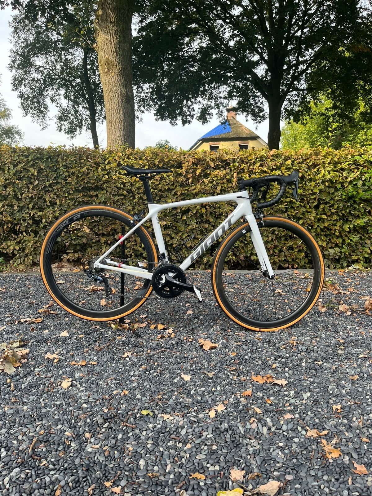 Giant TCR racefiets - Maat S, Ophalen, Gebruikt, Carbon, Heren
