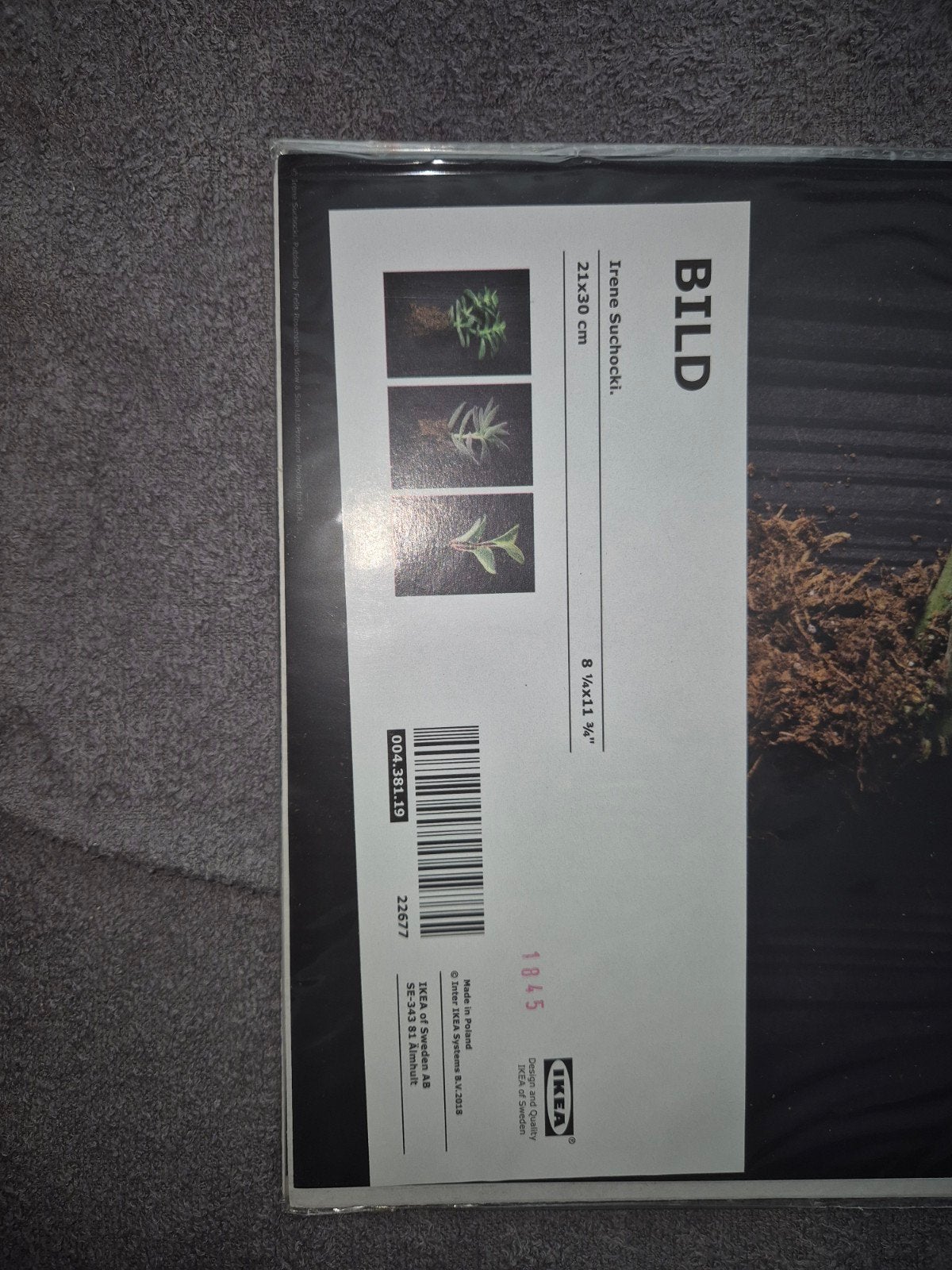 IKEA BILD Planten Prints - Set van 3 (21x30 cm), Minder dan 50 cm, Nieuw, Ophalen of Verzenden, Print