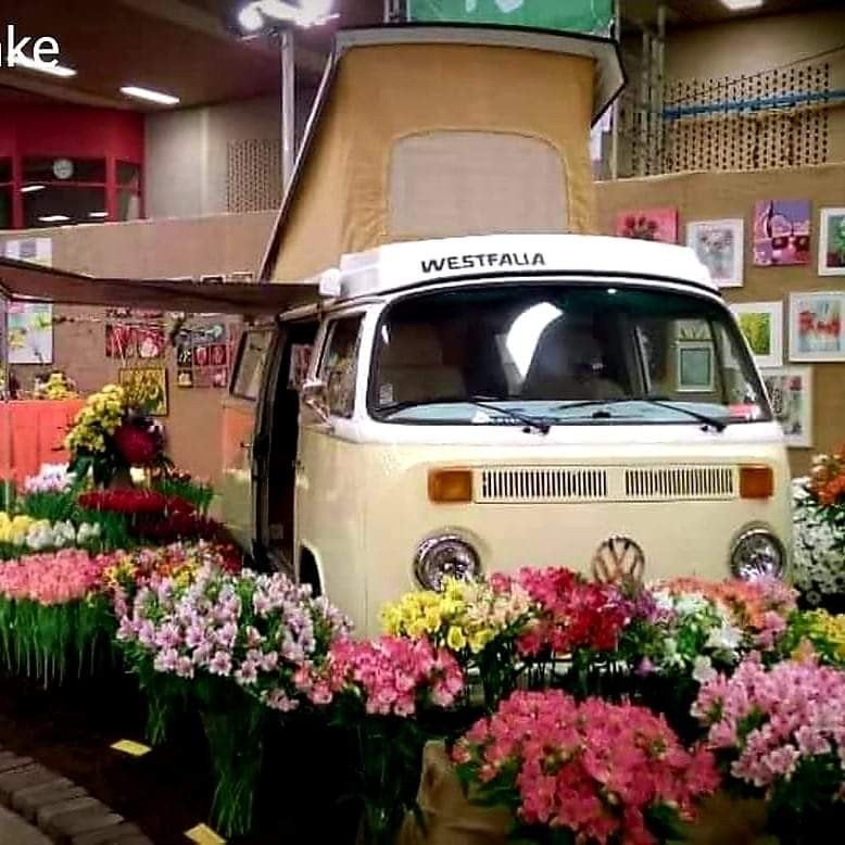 Volkswagen T2 Camper 1600 1978 Geel, Auto's, Volkswagen, Particulier, Benzine, Overige carrosserieën, Handgeschakeld, Geïmporteerd