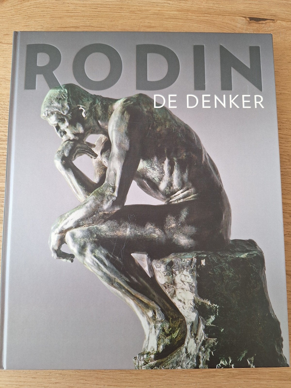 Rodin De Denker - Boek over restauratie en kunst, Ophalen of Verzenden, Zo goed als nieuw