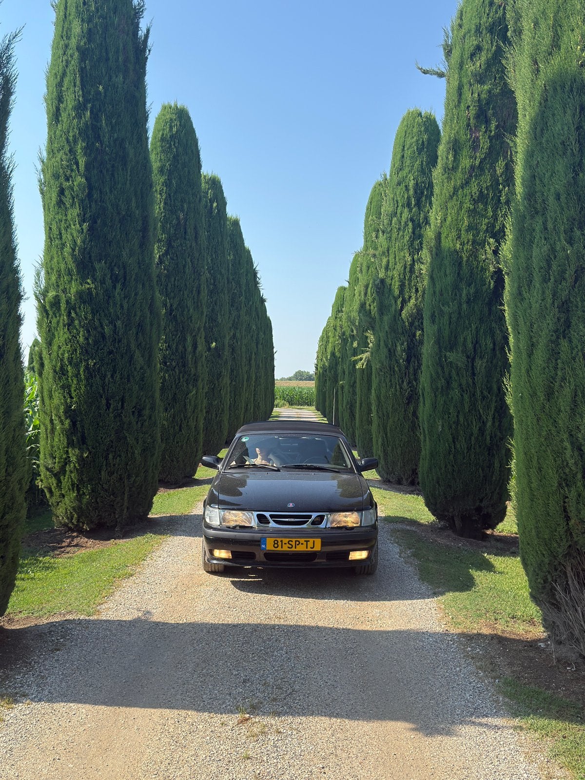 Saab 9-3 2.0 T Cabrio 2001 Zwart, 730 kg, 4 cilinders, Cabriolet, 4 stoelen
