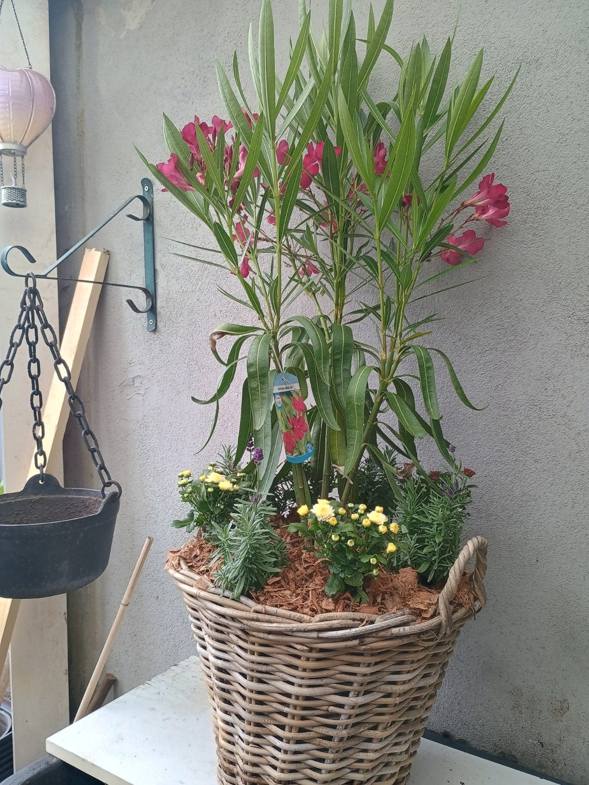 Te koop rieten mand met rode oleander lavendel en chrysanten, Ophalen, Rond, Minder dan 30 cm