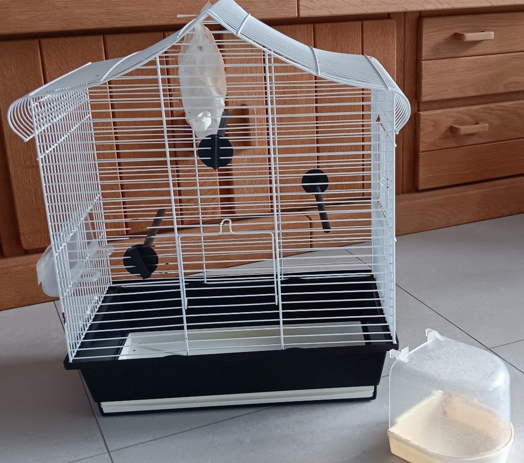 VOGELKOOI, Dieren en Toebehoren, Ophalen, Gebruikt, Metaal, Vogelkooi