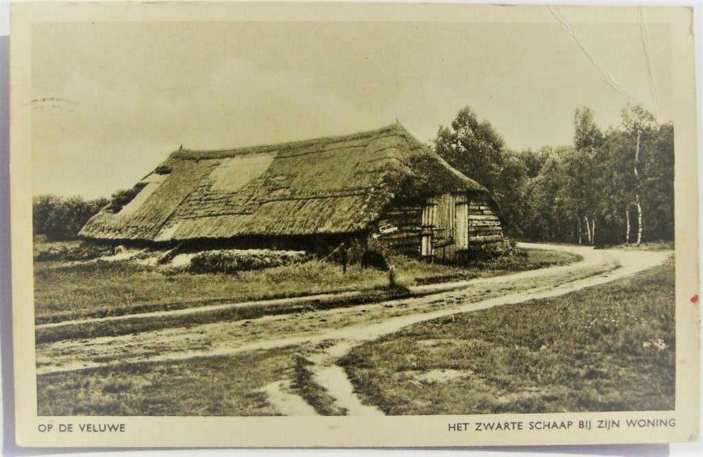 ansichtkaart Gelderland e/o nr. 4, Ophalen of Verzenden, 1940 tot 1960, Gelopen, Gelderland