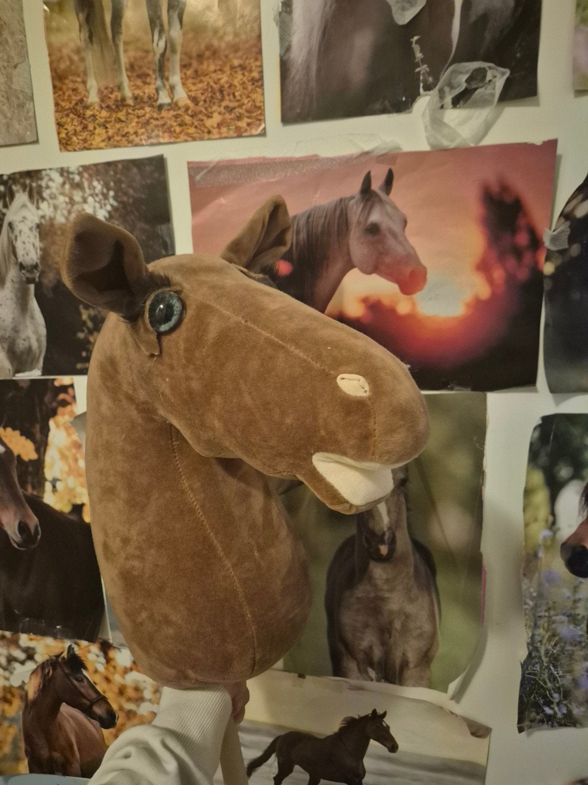 Hobbyhorse zonder manen en hoofdstel, Ophalen, Zo goed als nieuw, Recreatie