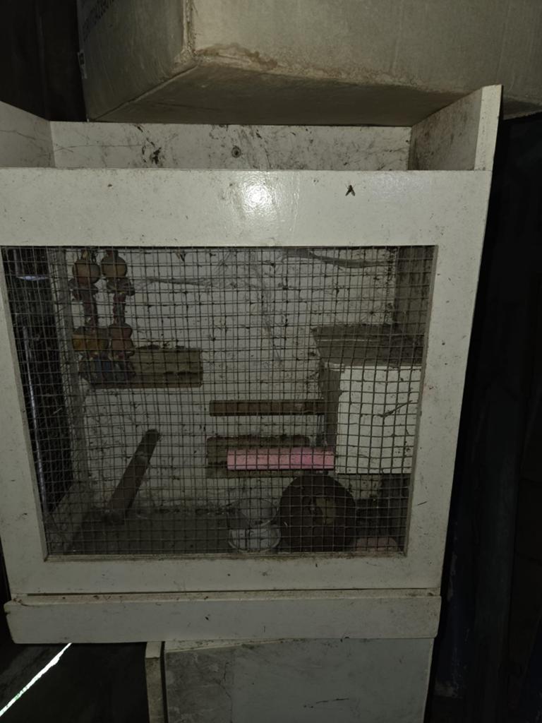 Ratten muizen kooitje, Ophalen of Verzenden, Minder dan 75 cm, Kooi, Minder dan 60 cm