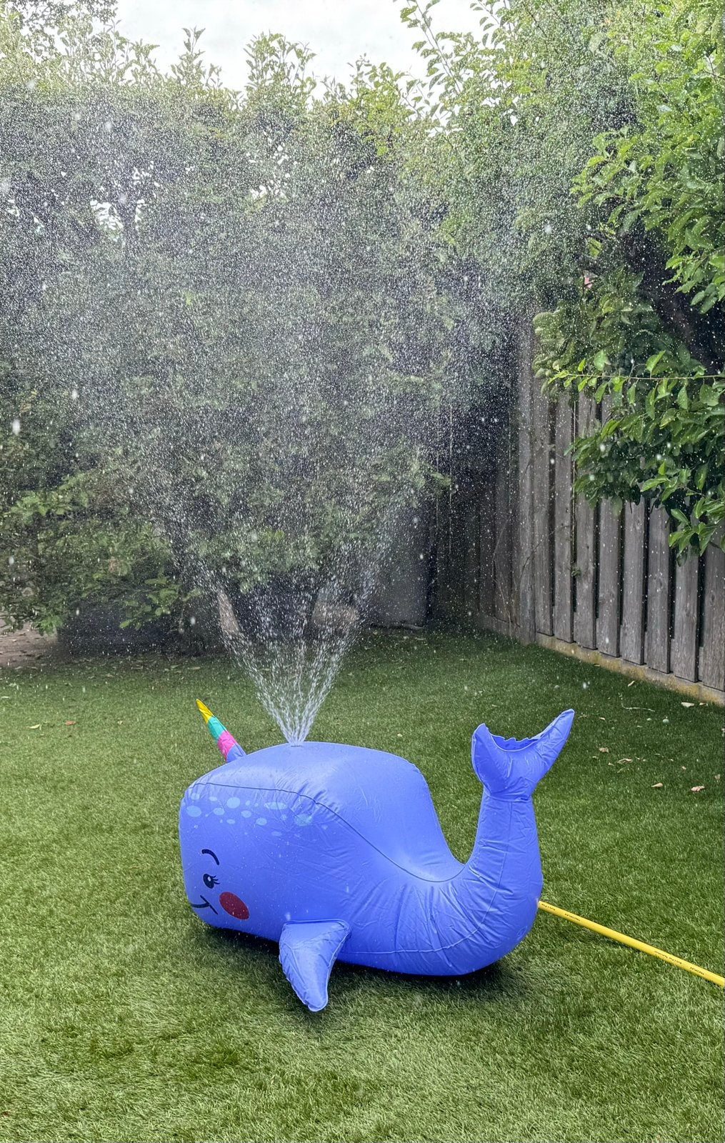 Opblaasbare Walvis-watersproeier, Ophalen, Minder dan 80 cm, Opblaaszwembad, Nieuw