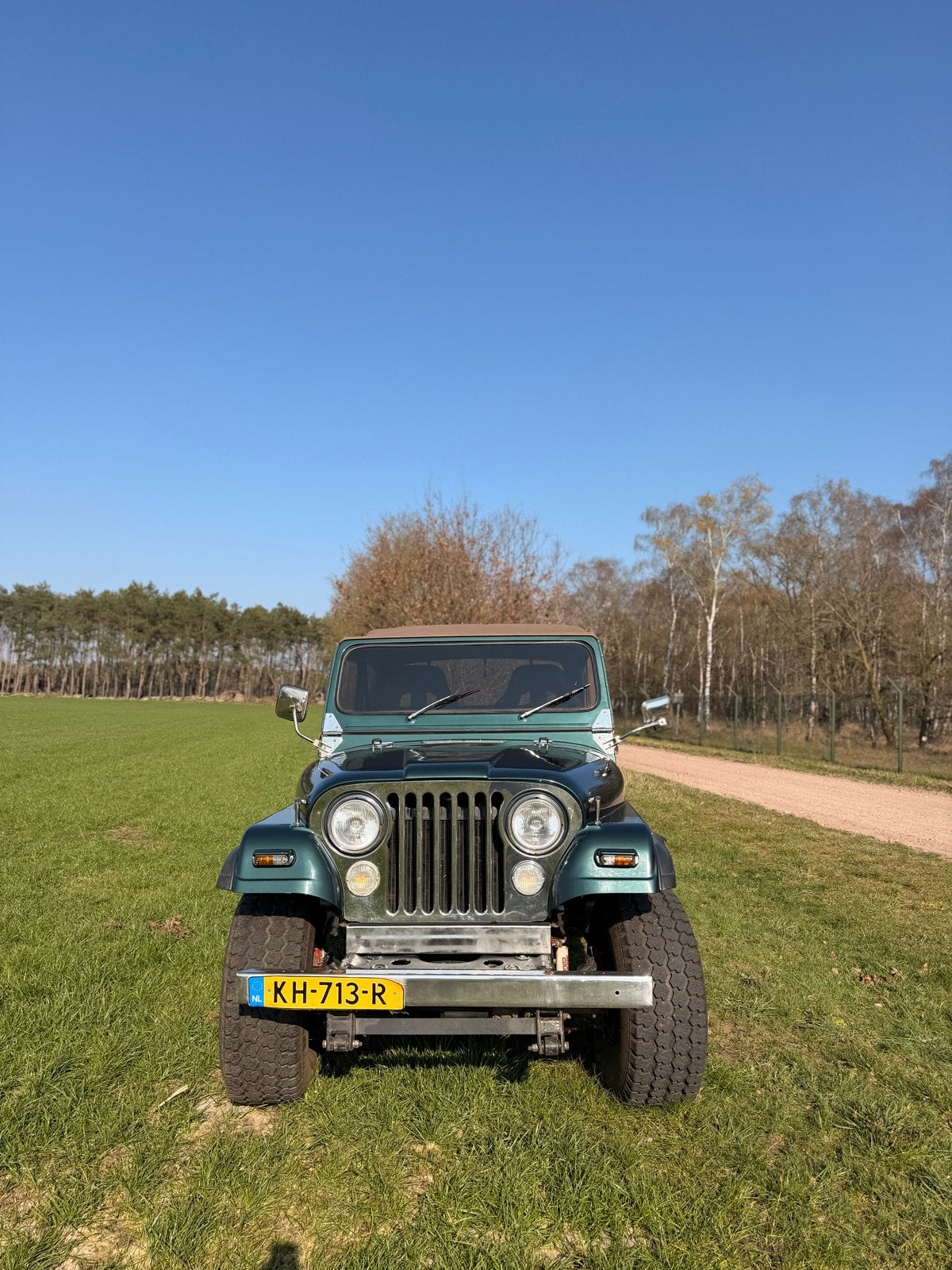 Jeeps CJ7 Groen en Paars, foto 3