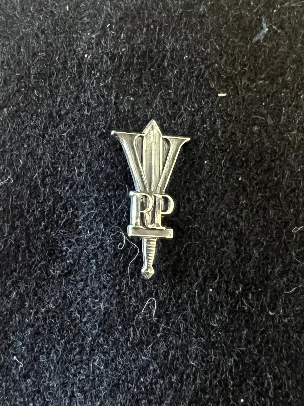 Reversspeldje Korps Rijkspolitie, Ophalen of Verzenden, Overige soorten, Nederland, Embleem of Badge