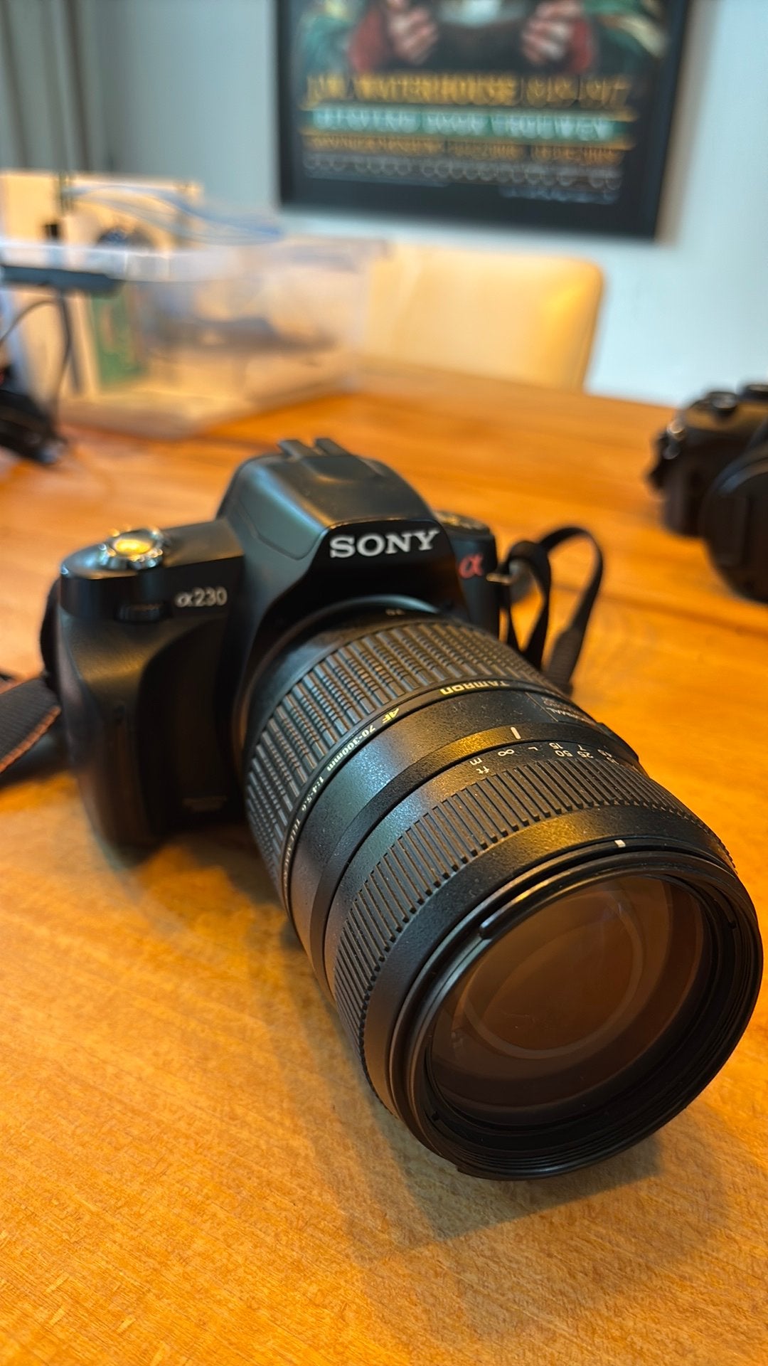 Sony Alpha a230 incl telezoomlens (70-300mm), Audio, Tv en Foto, Ophalen of Verzenden, Zo goed als nieuw, Sony, 8 keer of meer