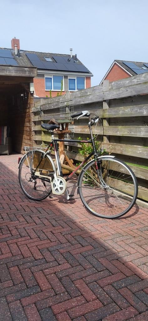 28 inch koga-miyata, 55 tot 59 cm, Ophalen of Verzenden