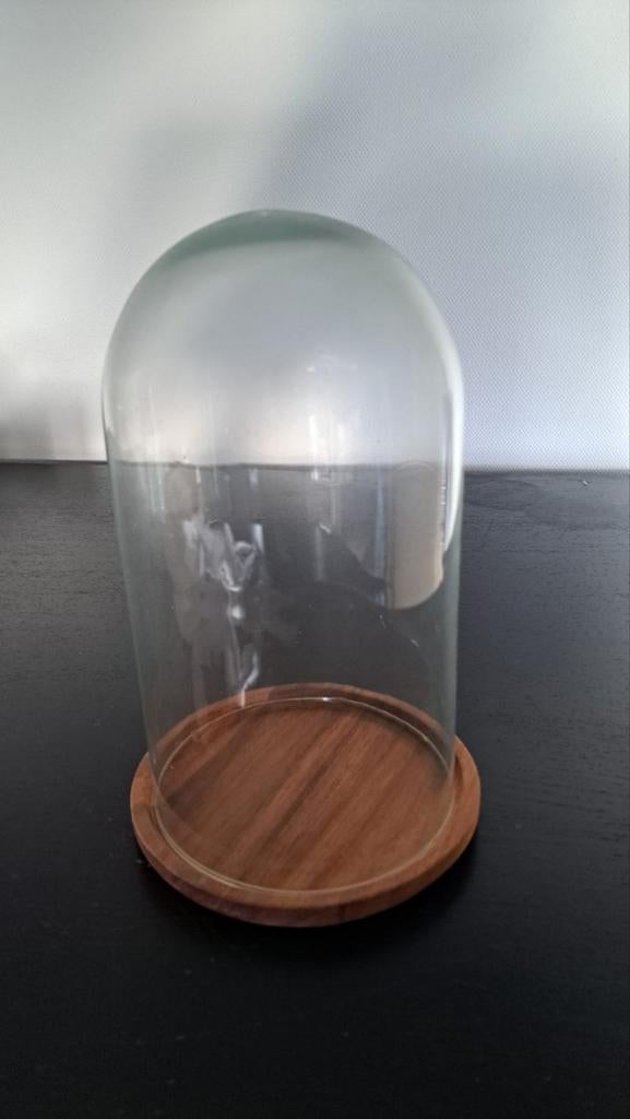 Kunststof stolp met houten onderzetter, Ophalen, Gebruikt