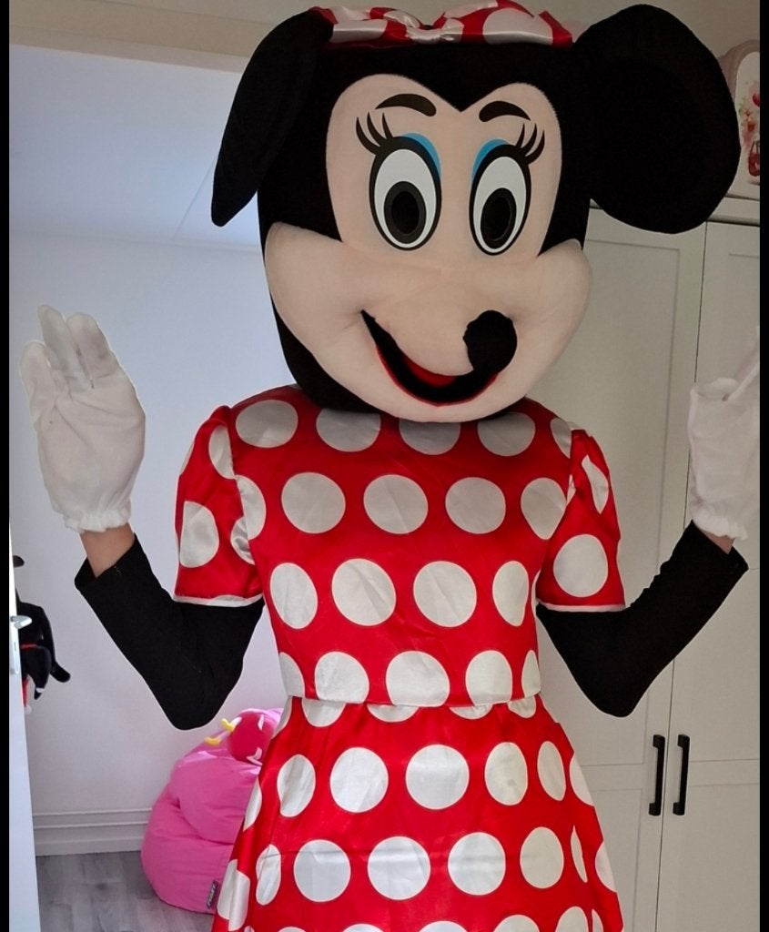 Huur minnie mouse kostuum, Ophalen, Zo goed als nieuw, Verjaardag