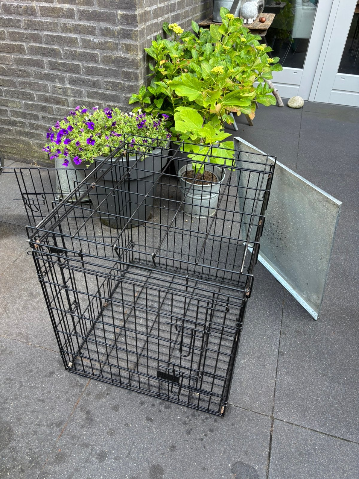 Honden bench, Dieren en Toebehoren, Hondenhokken, Ophalen, Gebruikt, 75 tot 110 cm, Minder dan 65 cm