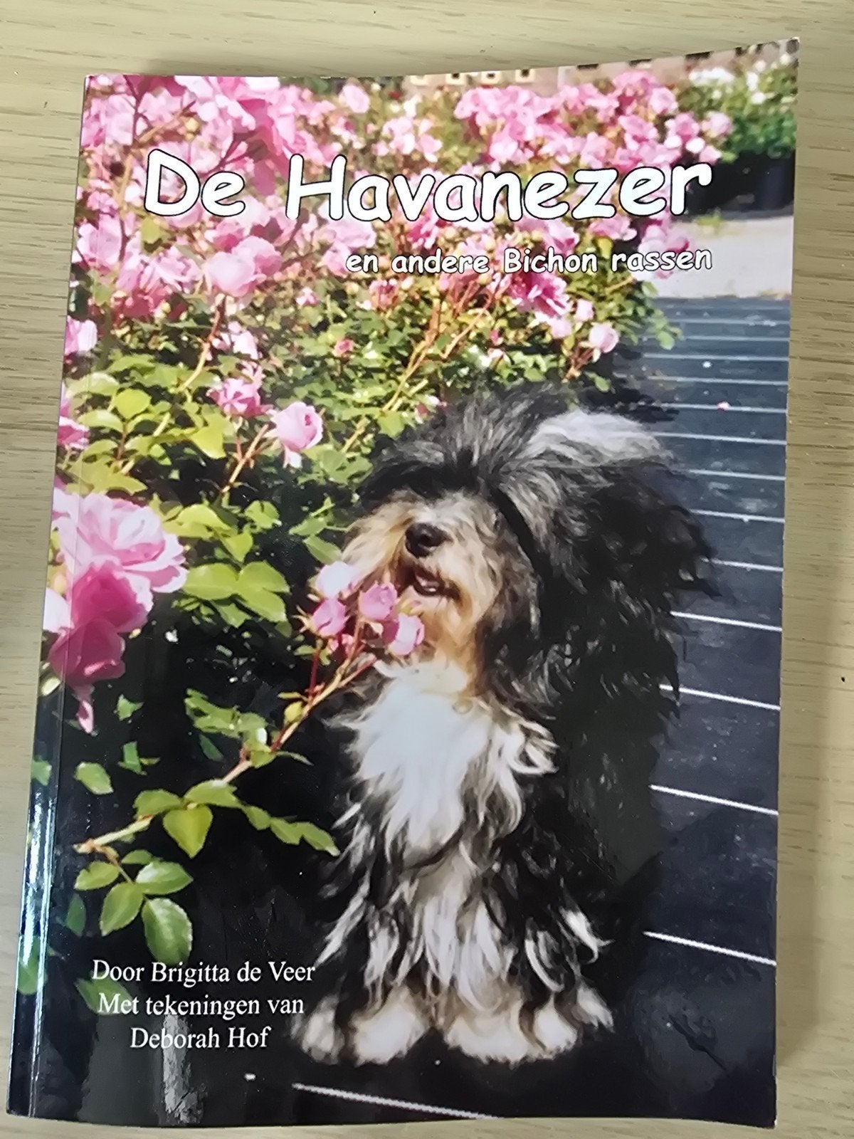 De Havanezer en andere Bichon rassen - Boek over hondenras, Ophalen of Verzenden, Gelezen, Honden, Brigitta de Veer