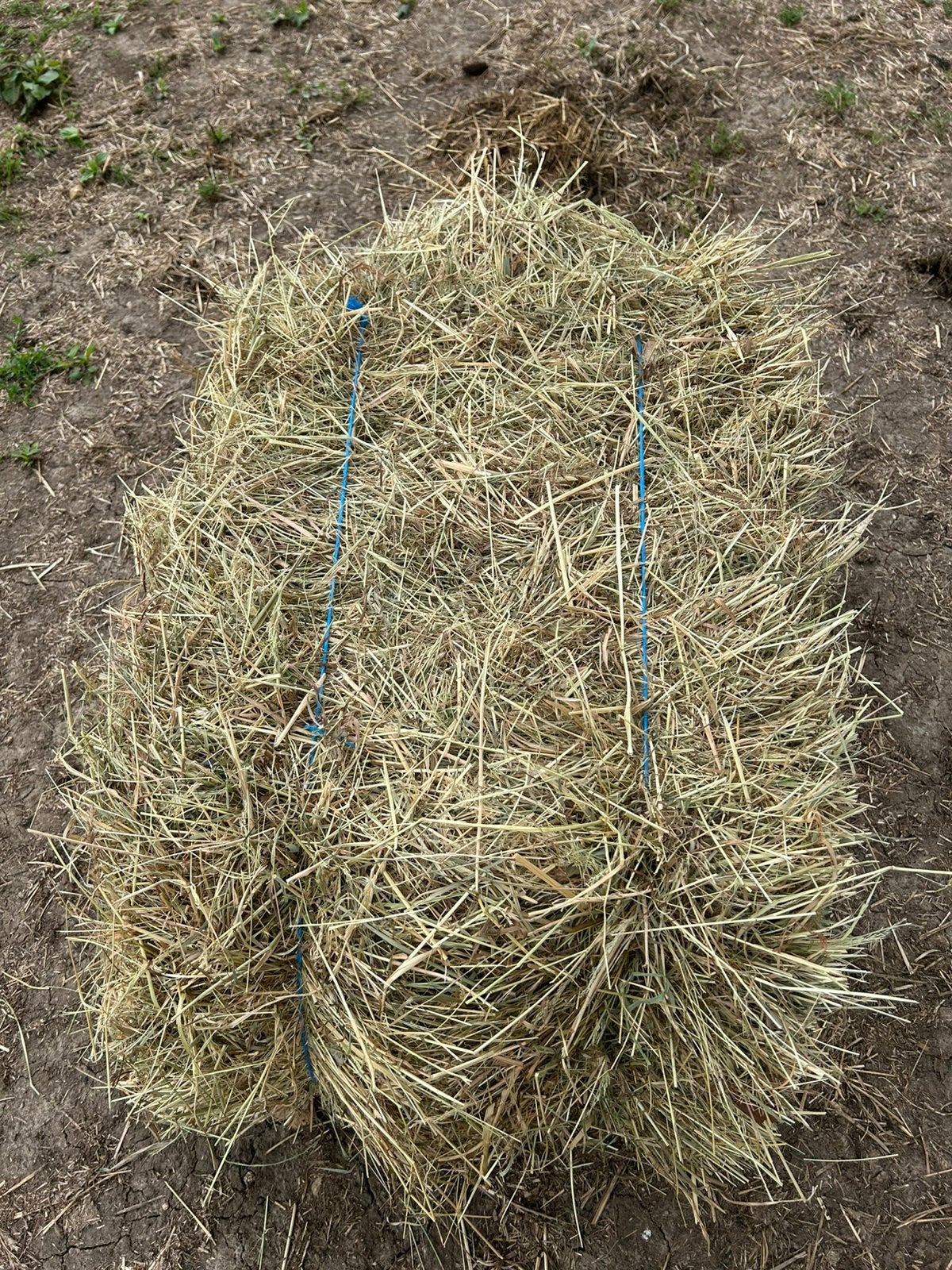 Kleine pakjes hooi, Dieren en Toebehoren, Dierenvoeding, Ophalen, Vee