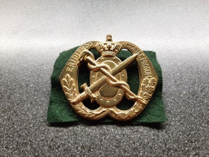 MGD - Militair Geneeskundige Dienst/ baretembleem. KL, Ophalen of Verzenden, Landmacht, Nederland, Embleem of Badge