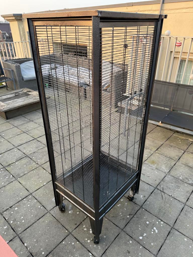 Mooie chique ratten/vogel kooi. Werkt uitstekend is schoon!, Ophalen, Kooi, Gebruikt, Minder dan 75 cm