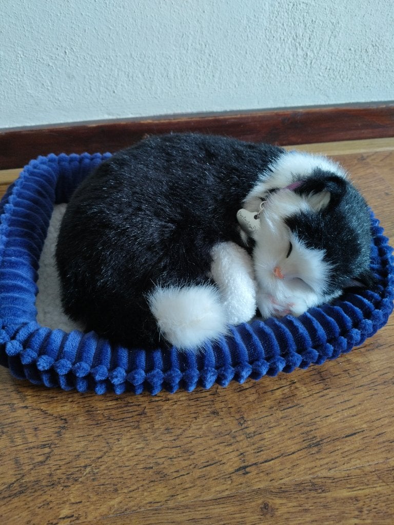 Perfect Petzzz Cat, Ophalen, Overige merken, Met geluid, Overige karakters