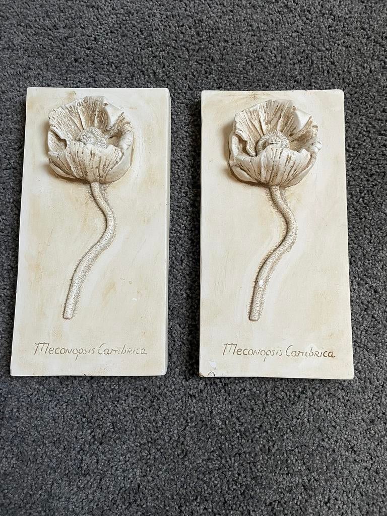 2 gipsen papaver afdrukken 19cm lang 14,5 breed 2 cm dik, Ophalen of Verzenden