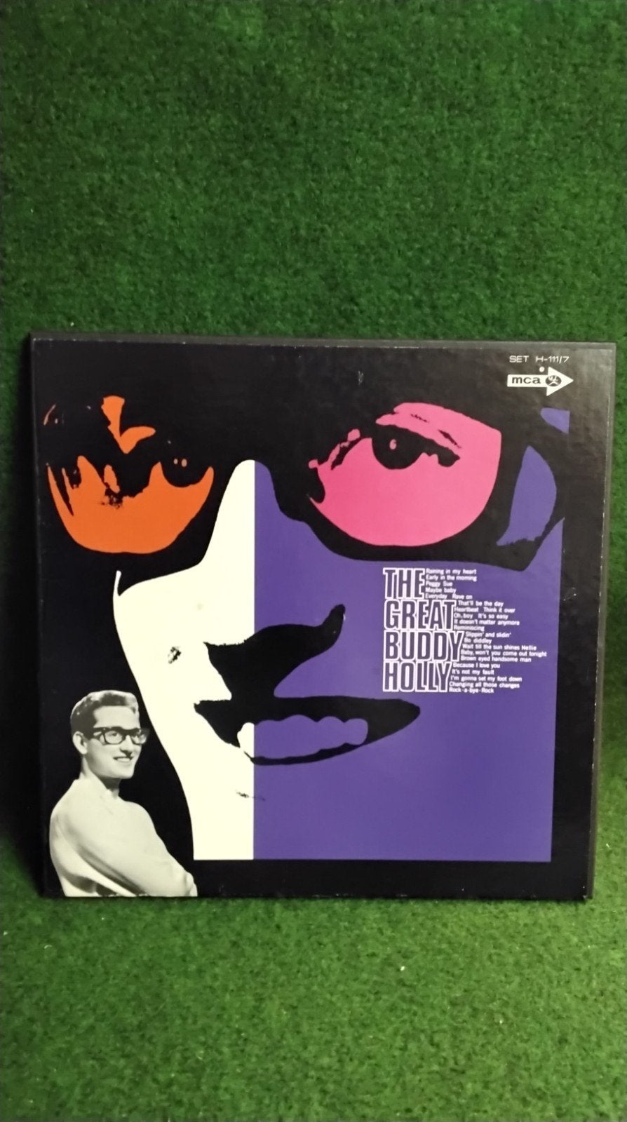 BUDDY  HOLLY, Ophalen of Verzenden, Gebruikt, 12 inch