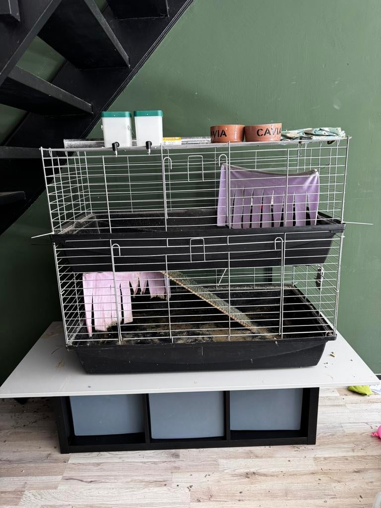 Grote cavia kooi, Dieren en Toebehoren, Knaagdieren en Konijnen | Hokken en Kooien, Ophalen, Kooi, Gebruikt, 60 tot 90 cm