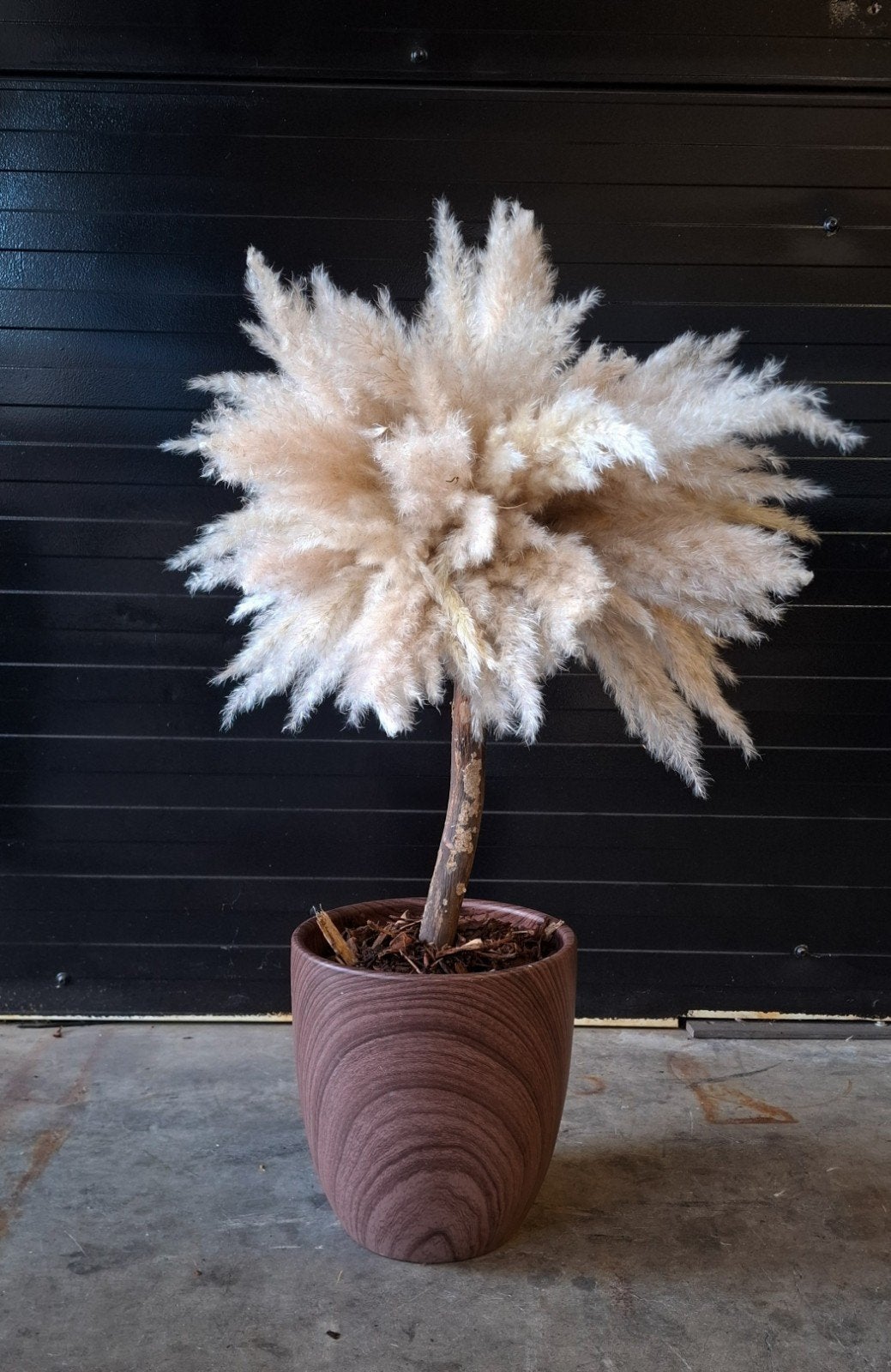Pampas boompje incl pot (+/- 95 cm), Binnen, Natuurlijk materiaal, Handgemaakt, Kunstplant