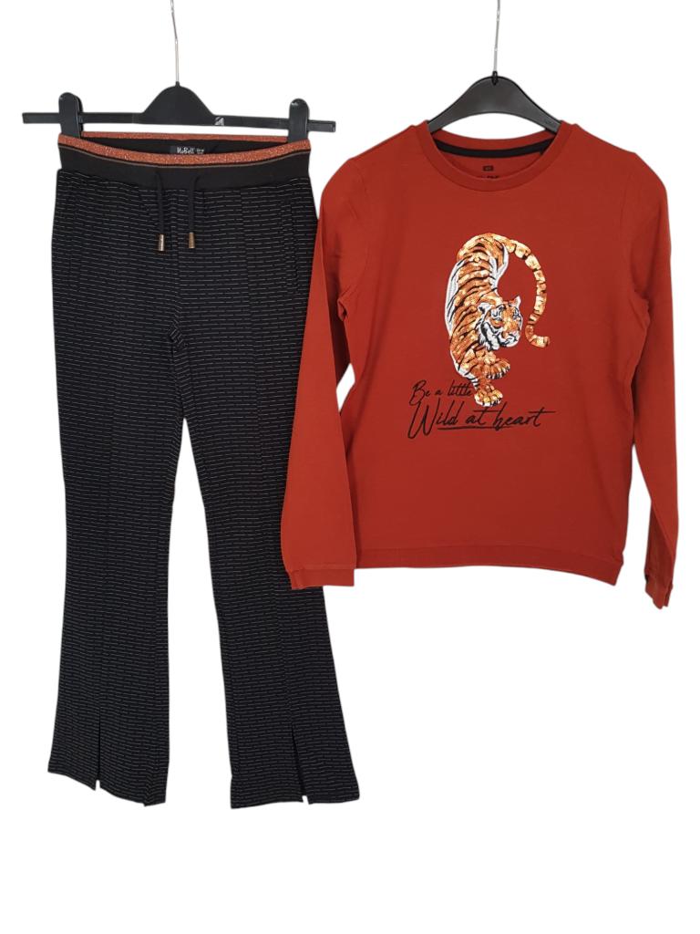 Geweldige roestbruine WE trui met tijger maat 158-164., Kinderen en Baby's, Kinderkleding | Maat 158, Zo goed als nieuw, Shirt of Longsleeve