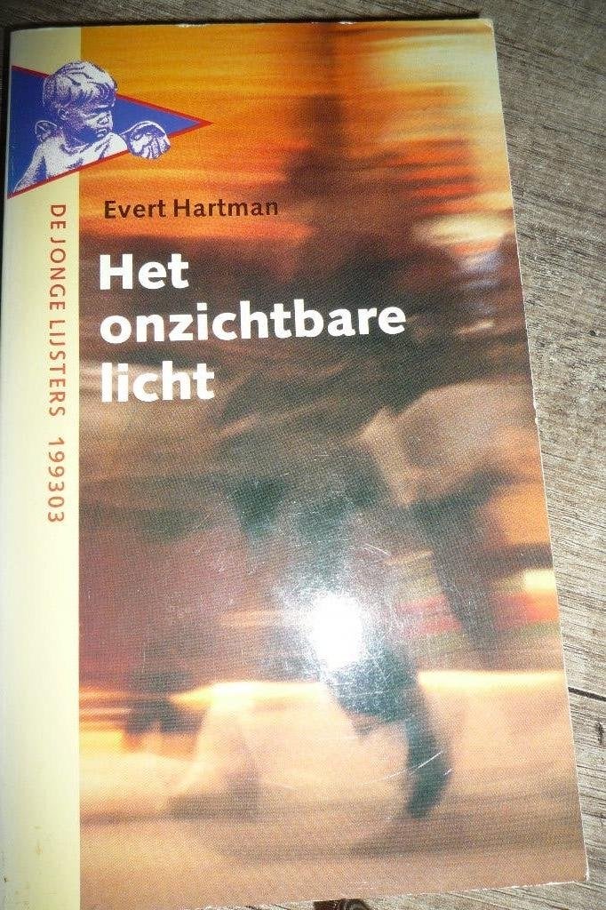 Het onzichtbare licht, Boeken, Ophalen, Zo goed als nieuw, Evert Hartman