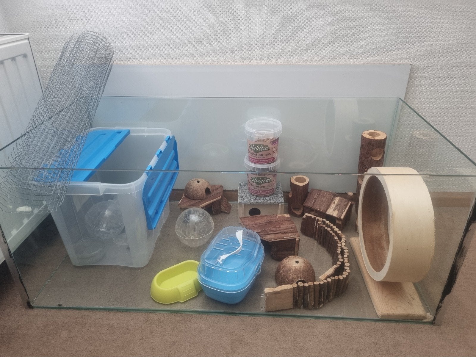 glazen hamster/cavia kooimet spullen, Dieren en Toebehoren, Knaagdieren en Konijnen | Hokken en Kooien, Kooi, Gebruikt, Cavia