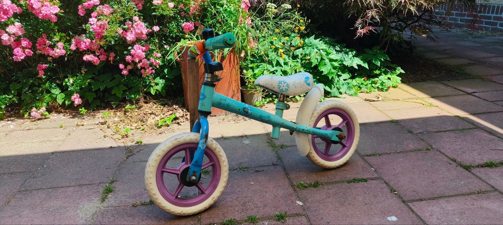 Gebruikte Frozen Loopfiets, Ophalen, Gebruikt, Loopfiets
