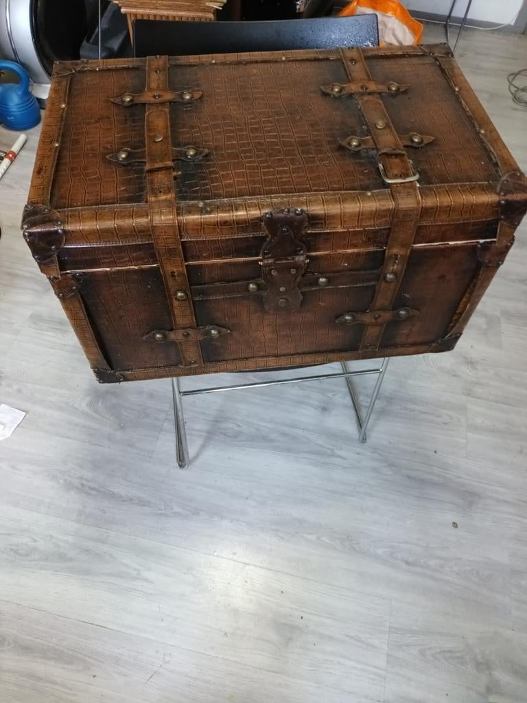 Vintage Koffer/Opbergkist met Krokodillenleer Look, Ophalen
