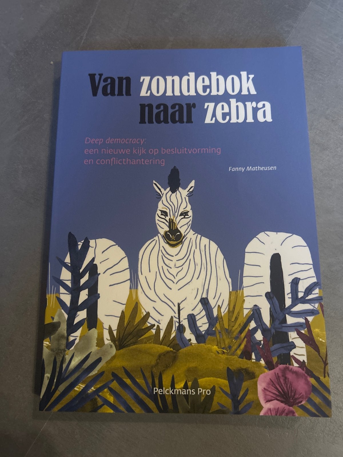 Van zondebok naar zebra: Deep Democracy, Verzenden, Zo goed als nieuw, Nederland