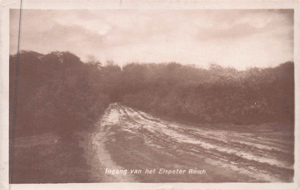 Elspeet fotokaart - Ingang v.h. Elspeter Bosch (rond 1930), Ophalen of Verzenden, 1920 tot 1940, Gelopen, Gelderland