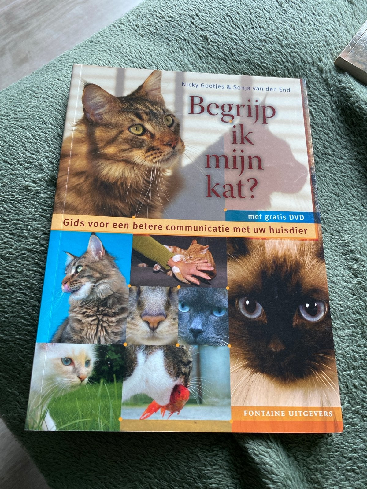 Begrijp ik mijn kat? Gids voor betere communicatie + DVD, Boeken, Dieren en Huisdieren, Ophalen of Verzenden, Zo goed als nieuw