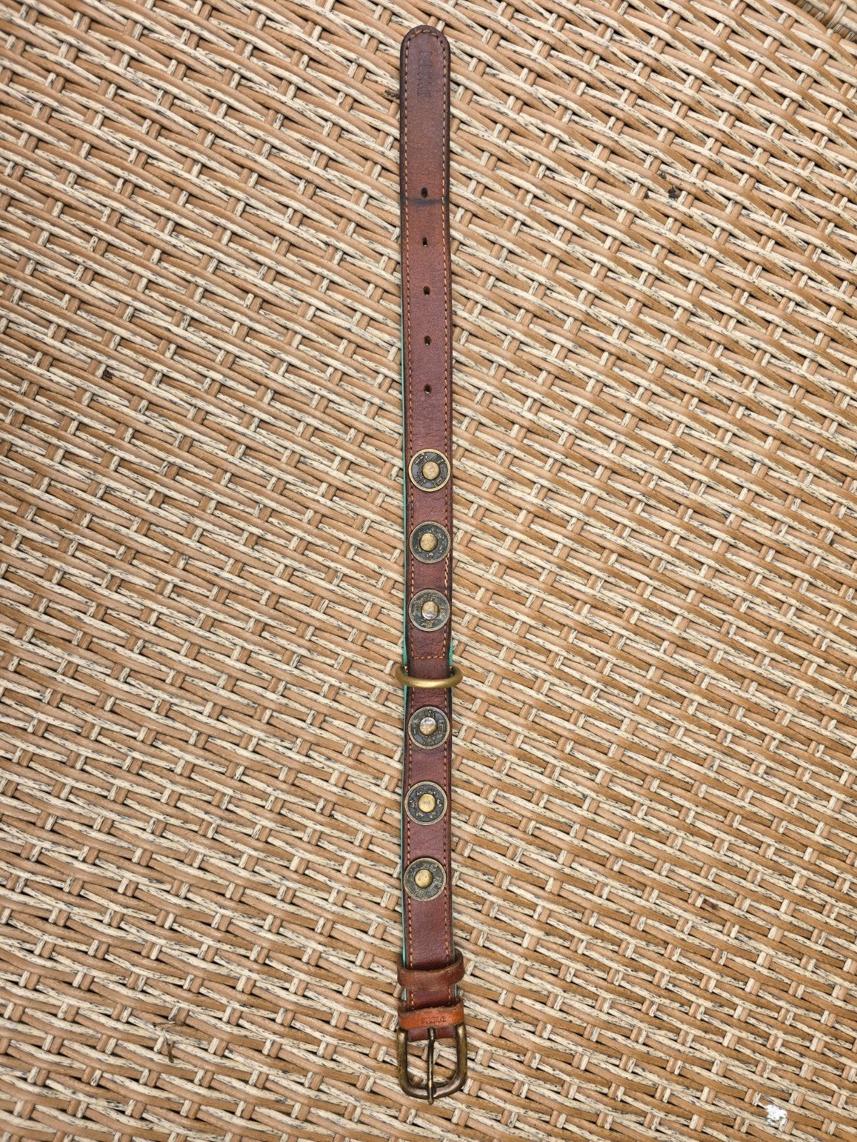 DWAM halsband, Ophalen of Verzenden, Gebruikt