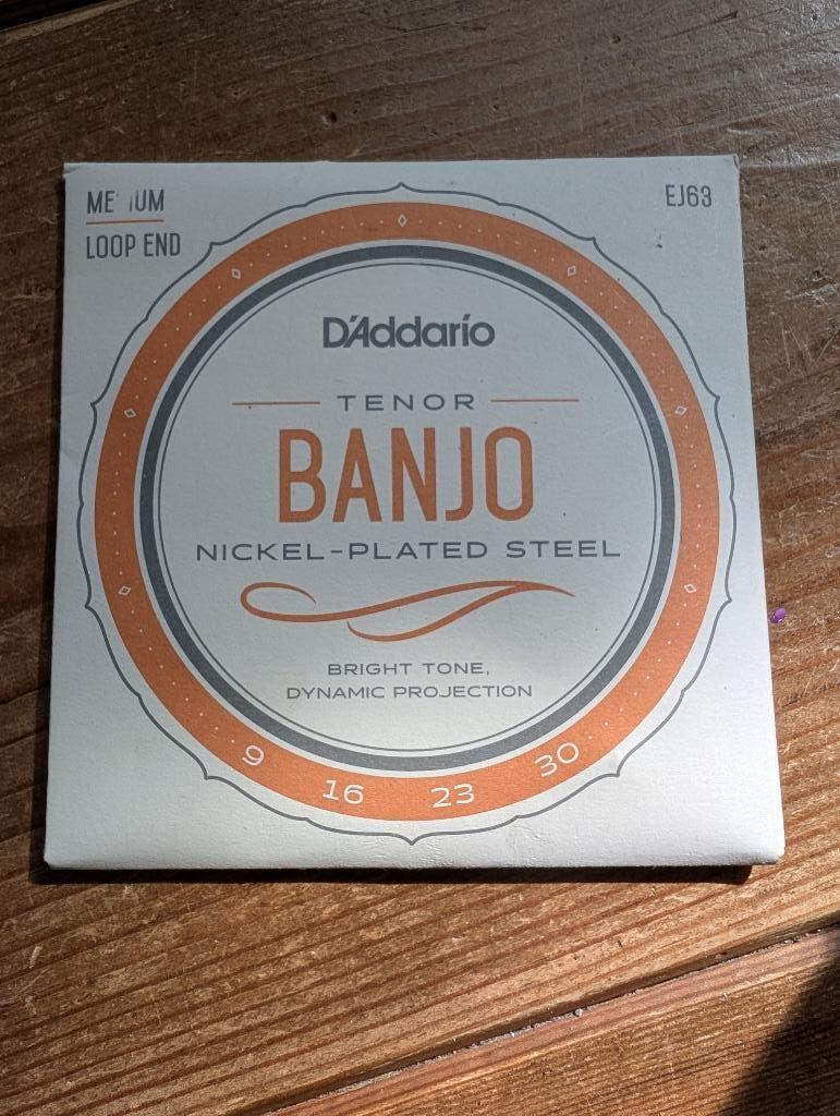D'Addario EJ63 Tenor Banjo Snaren (9-30), Muziek en Instrumenten, Snaarinstrumenten | Banjo's, Ophalen of Verzenden, Nieuw, Tenorbanjo