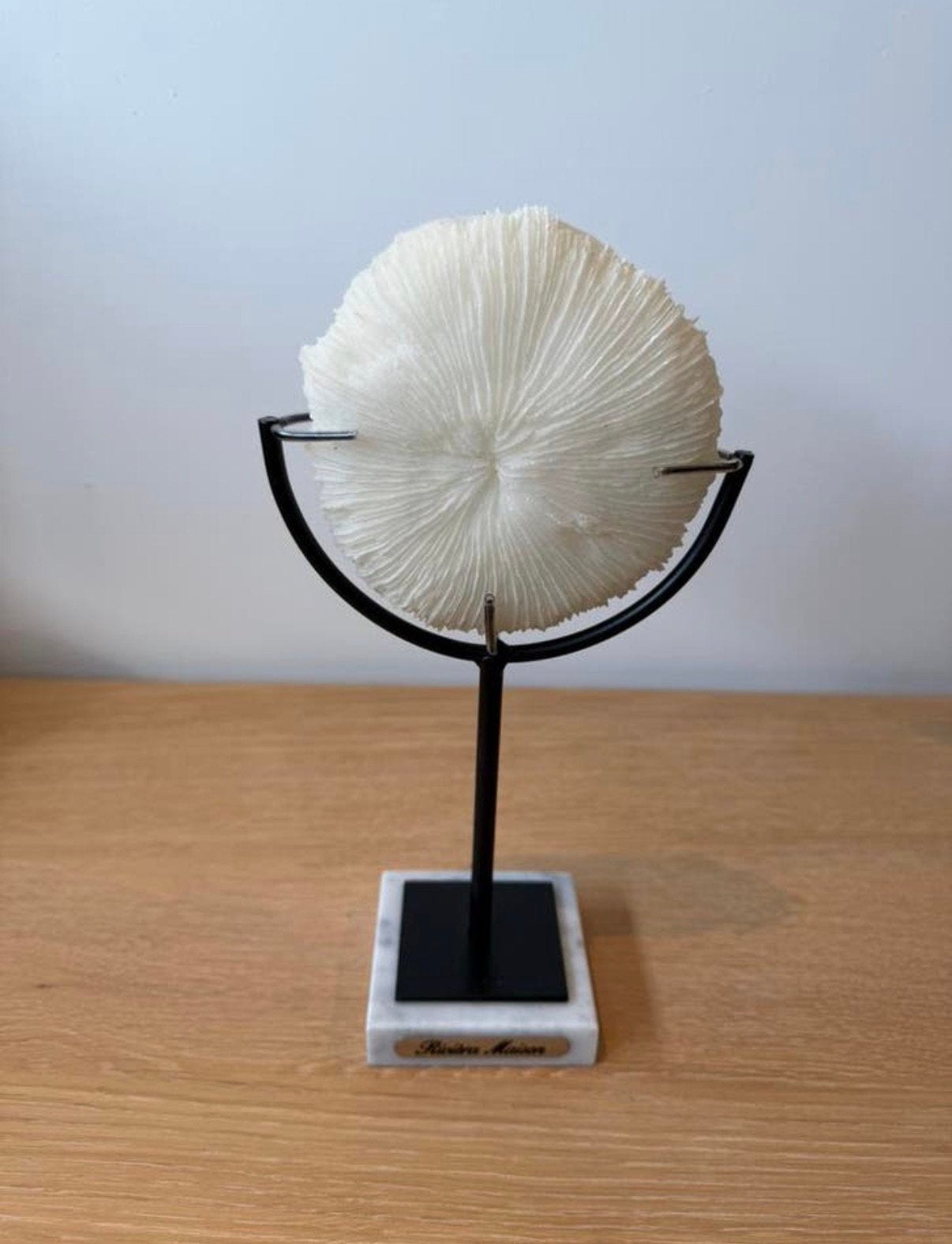 Riviera maison ornament, Huis en Inrichting, Woonaccessoires | Overige, Ophalen of Verzenden, Zo goed als nieuw