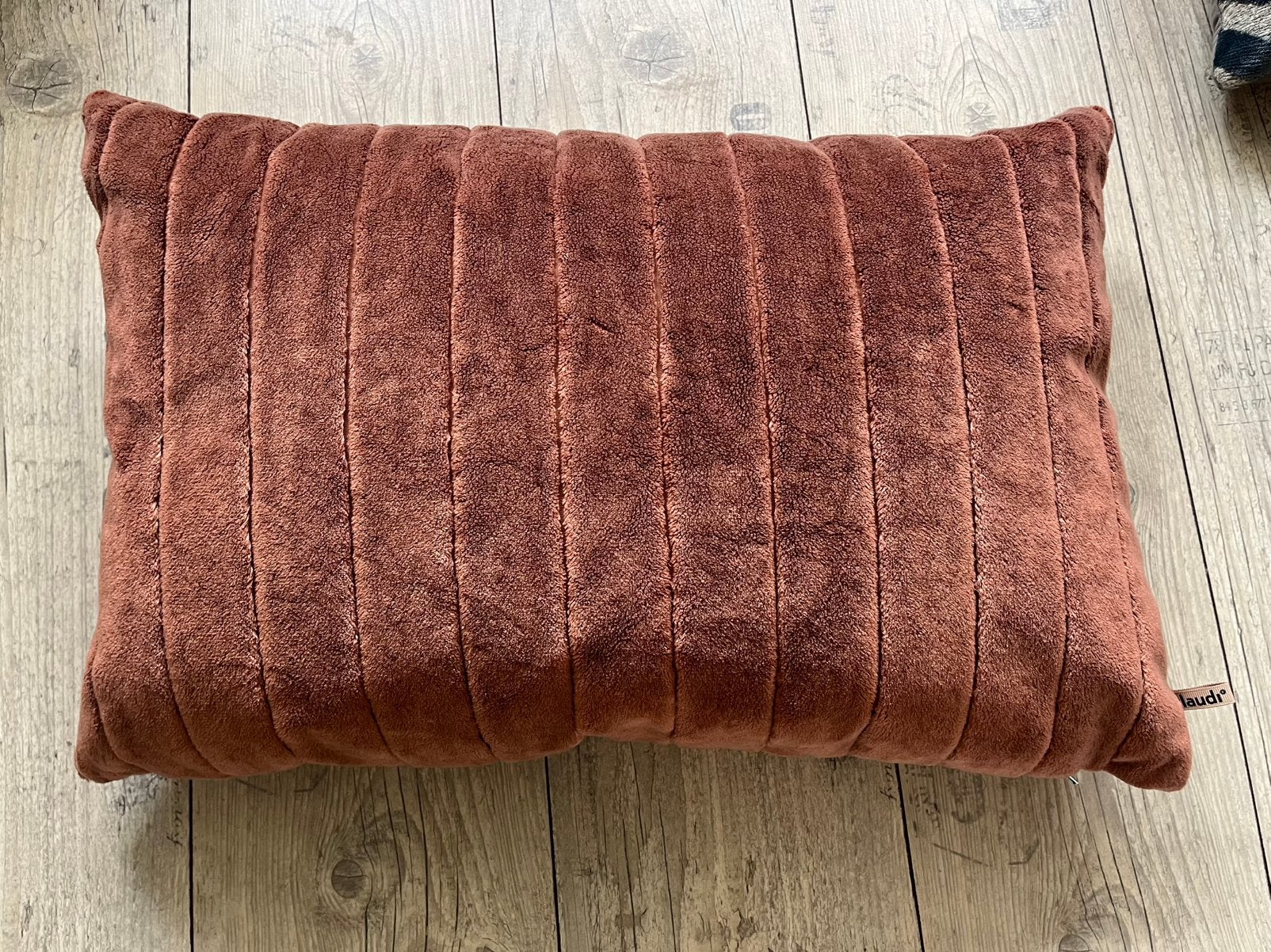 Sierkussen Claudi 60x40, Huis en Inrichting, Ophalen, Overige kleuren, Zo goed als nieuw, Sierkussen